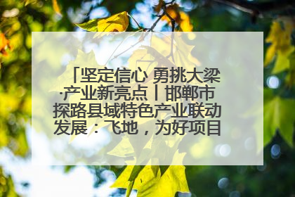 坚定信心 勇挑大梁·产业新亮点丨邯郸市探路县域特色产业联动发展：飞地，为好项目跨域安个家