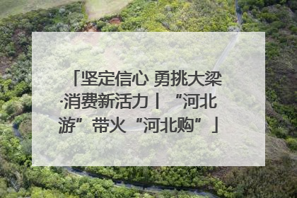 坚定信心 勇挑大梁·消费新活力丨“河北游”带火“河北购”