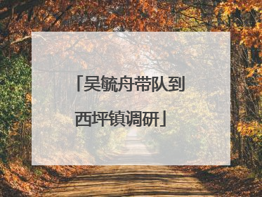 吴毓舟带队到西坪镇调研