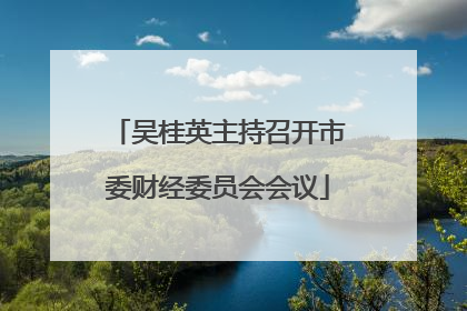 吴桂英主持召开市委财经委员会会议