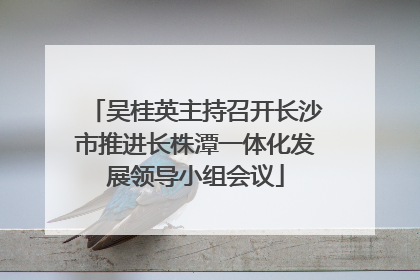 吴桂英主持召开长沙市推进长株潭一体化发展领导小组会议