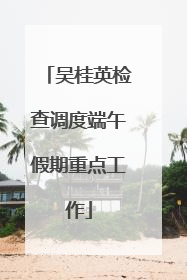 吴桂英检查调度端午假期重点工作