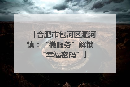 合肥市包河区淝河镇：“微服务”解锁“幸福密码”
