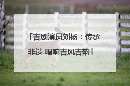 吉剧演员刘杨：传承非遗 唱响吉风吉韵