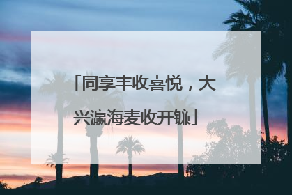 同享丰收喜悦，大兴瀛海麦收开镰