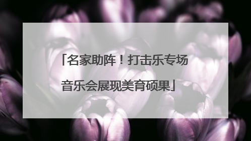 名家助阵！打击乐专场音乐会展现美育硕果