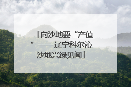 向沙地要“产值”——辽宁科尔沁沙地兴绿见闻