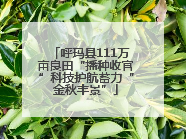 呼玛县111万亩良田“播种收官”科技护航蓄力“金秋丰景”