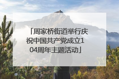 周家桥街道举行庆祝中国共产党成立104周年主题活动