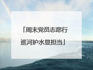 周末党员志愿行 巡河护水显担当