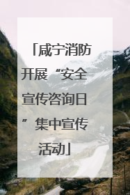 咸宁消防开展“安全宣传咨询日”集中宣传活动