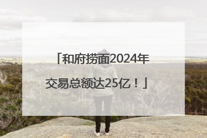 和府捞面2024年交易总额达25亿！