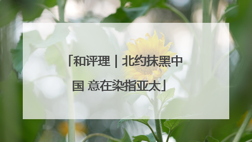 和评理｜北约抹黑中国 意在染指亚太