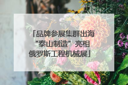 品牌参展集群出海 “泰山制造”亮相俄罗斯工程机械展