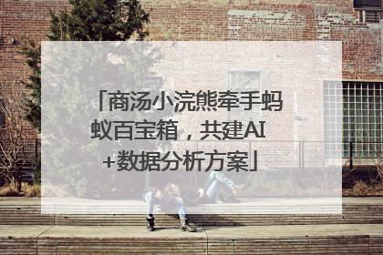 商汤小浣熊牵手蚂蚁百宝箱，共建AI+数据分析方案