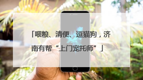 喂粮、清便、逗猫狗，济南有帮“上门宠托师”