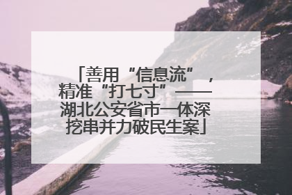 善用“信息流”，精准“打七寸”——湖北公安省市一体深挖串并力破民生案