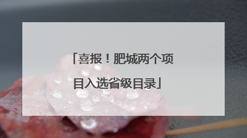 喜报！肥城两个项目入选省级目录