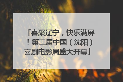 喜聚辽宁，快乐满屏！第二届中国（沈阳）喜剧电影周盛大开幕