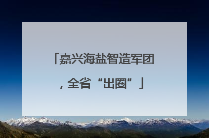 嘉兴海盐智造军团，全省“出圈”