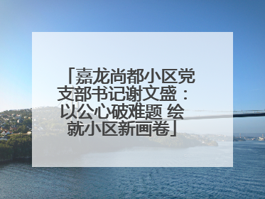 嘉龙尚都小区党支部书记谢文盛：以公心破难题 绘就小区新画卷