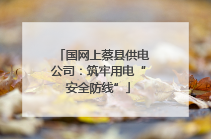 国网上蔡县供电公司：筑牢用电“安全防线”