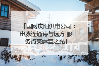 国网庆阳供电公司：电脉连通诗与远方 服务点亮露营之光