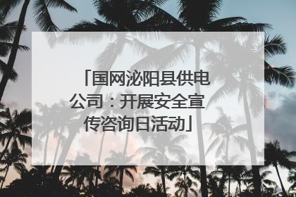 国网泌阳县供电公司：开展安全宣传咨询日活动