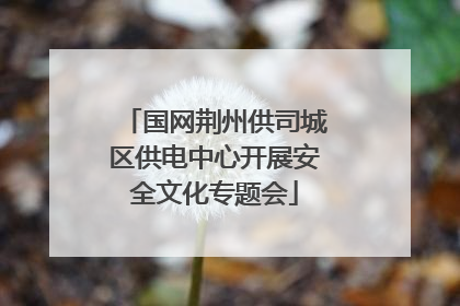 国网荆州供司城区供电中心开展安全文化专题会