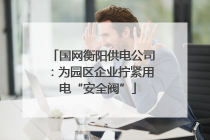 国网衡阳供电公司：为园区企业拧紧用电“安全阀”