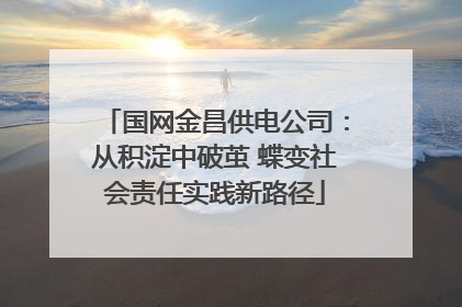 国网金昌供电公司：从积淀中破茧 蝶变社会责任实践新路径