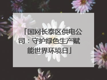 国网长泰区供电公司：守护绿色生产赋能世界环境日