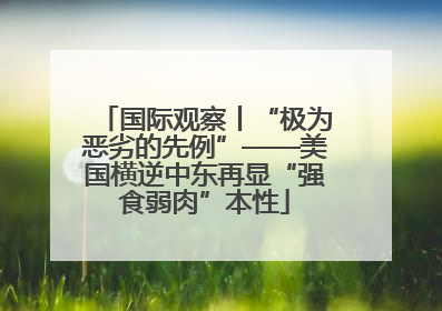国际观察丨“极为恶劣的先例”——美国横逆中东再显“强食弱肉”本性