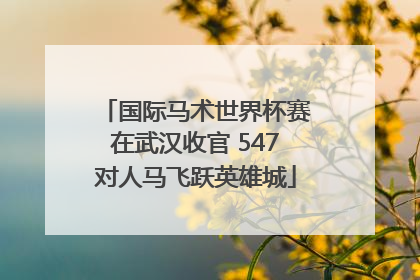 国际马术世界杯赛在武汉收官 547对人马飞跃英雄城