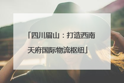四川眉山：打造西南天府国际物流枢纽