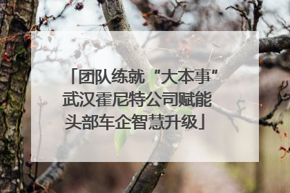 团队练就“大本事” 武汉霍尼特公司赋能头部车企智慧升级