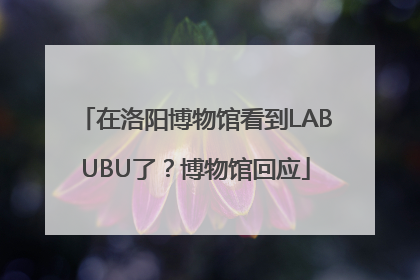 在洛阳博物馆看到LABUBU了？博物馆回应