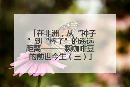 在非洲，从“种子”到“杯子”的遥远距离——一颗咖啡豆的前世今生（三）