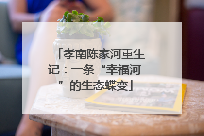 孝南陈家河重生记：一条“幸福河”的生态蝶变