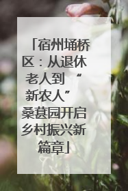 宿州埇桥区：从退休老人到 “新农人” 桑葚园开启乡村振兴新篇章