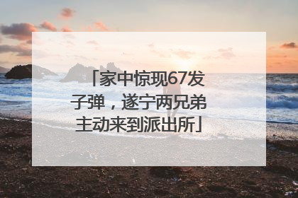 家中惊现67发子弹，遂宁两兄弟主动来到派出所