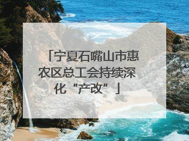 宁夏石嘴山市惠农区总工会持续深化“产改”