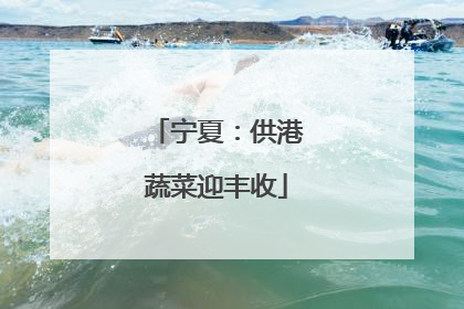 宁夏：供港蔬菜迎丰收