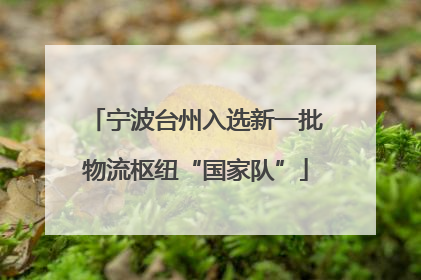 宁波台州入选新一批物流枢纽“国家队”