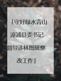 守好绿水青山 漳浦县委书记督导涉林图斑整改工作