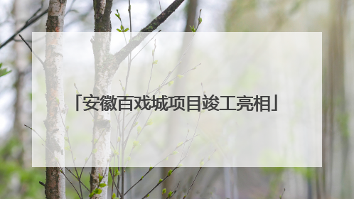 安徽百戏城项目竣工亮相
