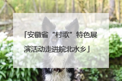 安徽省“村歌”特色展演活动走进皖北水乡