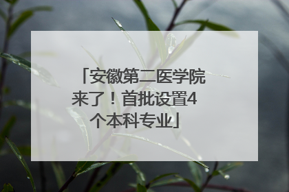 安徽第二医学院来了！首批设置4个本科专业