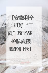 安徽利辛：打好“三夏”攻坚战 护航夏粮颗粒归仓