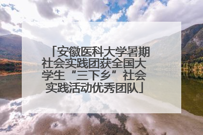 安徽医科大学暑期社会实践团获全国大学生“三下乡”社会实践活动优秀团队